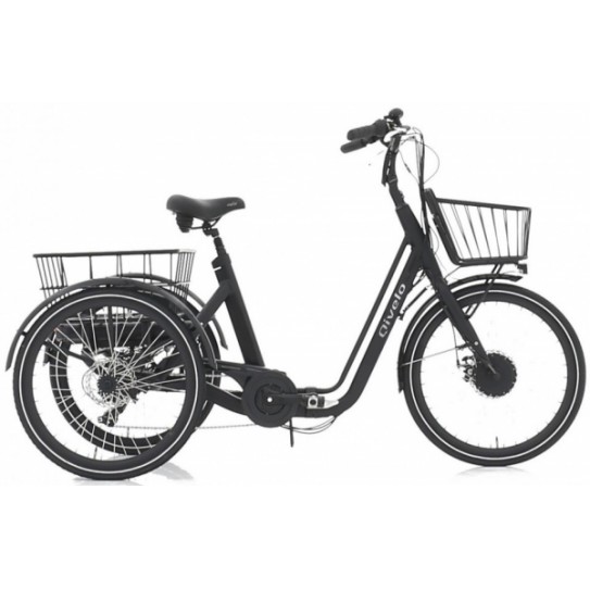 Triciclo eléctrico plegable Etnnic cuadro aluminio 250w Folding