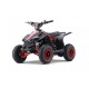 mini Quad COOBA  49cc-Prm R6