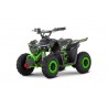 Eco HULKI SPORT 1000w36v  R6 3 etapas