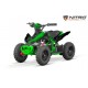 ECO Phyton  sport 1000w 36v R6 3 etapas