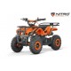 mini quad torino 49cc snowy profile
