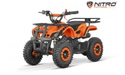mini quad torino 49cc snowy profile