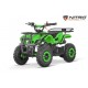 mini quad torino 49cc snowy profile