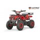 mini quad torino 49cc snowy profile
