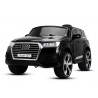 AUDI Q7 premiun  2X 35W 12V